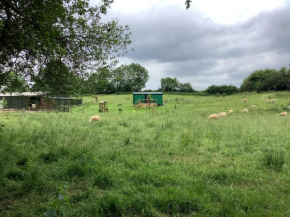 Shepherds Hut (Benny's)